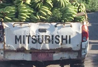 Mobnas Setda BS Dipakai Angkut Pisang