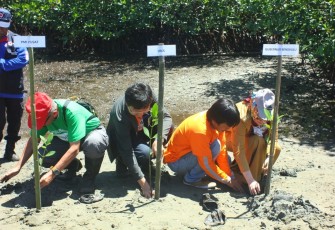 Penanaman mangrove di lokasi pusat edukasi mangrove PMI kelurahan Sumber Jaya 