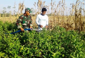 Kebun Melati Desa Jatimulya