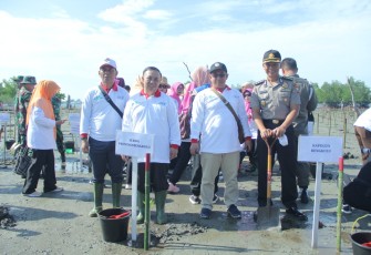 Sekretaris Daerah Provinsi Bengkulu Nopian Andusti Tanam Mangrove  