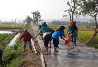 PKK RW 25 Turun Kejalan Siram Hasil Betonisasi TMMD Kodim Klaten