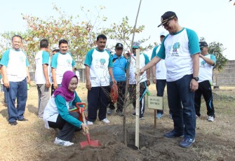 Bupati Brebes Lakukan tanam pohon Peringati Hari Lingkungan Hidup
