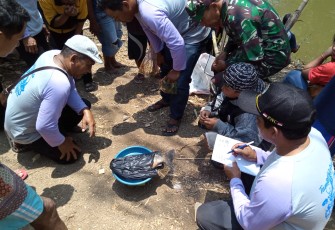Danramil Jeruklegi bersama Juri Cek Hasil Peserta Lomba