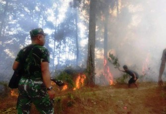 Lahan Milik Perhutani BKPH Bantarkawung Brebes Berhasil Dipadamkan
