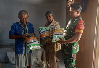 Babinsa Karangdowo Bagikan Benih Padi      