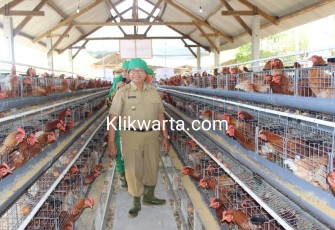 Bupati Blitar Drs Rijanto Saat Meninjau Kandang Ayam Petelur