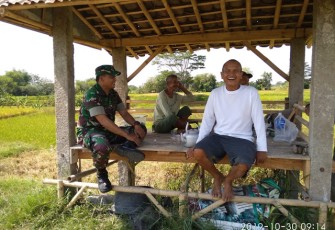 Babinsa Komsos Dengan Para Petani 