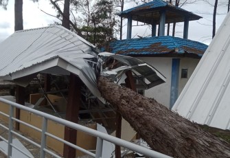 Pohon tumbang timpa sejumlah bangunan 