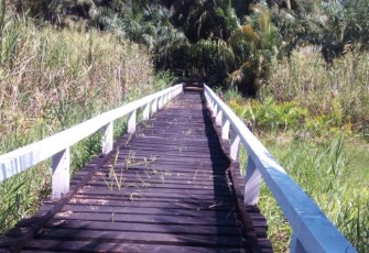 Jembatan penghubung persawahan Meunumbok-Ujonnga