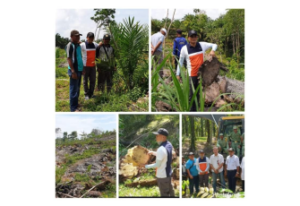 Program Replanting 