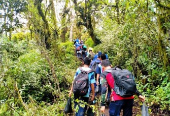 Ribuan Relawan Tanam Bibit Kayu Keras di Lereng Gunung Slamet