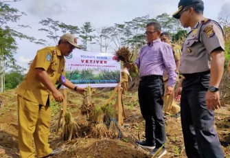 Bupati Kepahiang Hidayattullah Sjahid Ikut Menanam Bibit Rumput Vetiver