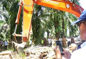 Bupati Bengkulu Selatan Gusnan Mulyadi Launcing Program Replanting Kelapa Sawit 