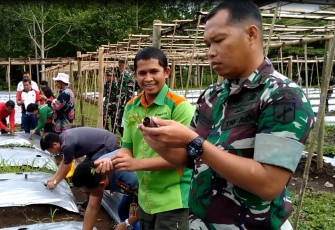 Dandim 1310 Bitung Letkol INF.Kusnandar Hidayat pimpin penanaman bibit cabai
