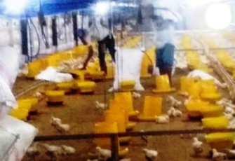 Penyuluhan Ternak Non Fisik TMMD Disambut Gembira Kades Pantirejo Pekalongan