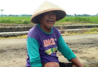 Surip (72)