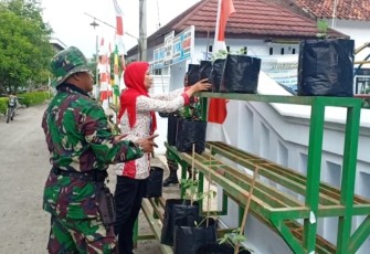  Percontohan Kawasan Rumah Pangan Lestari Disiapkan