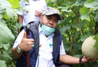 Wali Kota Bengkulu Helmi Hasan 