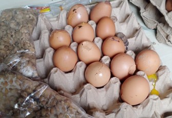 Hasil temuan LSM Gempar