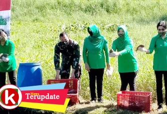 Ketua Persit KCK PD XIII/Merdeka Berkunjung ke Kolam Ikan dan Kebun Persit KCK PD XIII/Merdeka