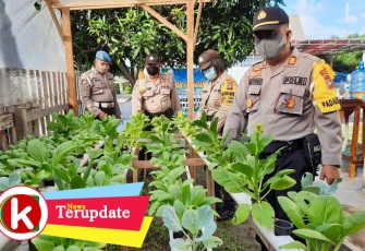 Polsek Dabo Singkep Budidaya Sayuran Hidroponik dan Lele Jumbo