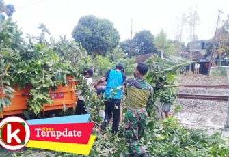 Kegiatan kerja bakti massal di lingkungan Kelurahan Sondakan Laweyan Kota Solo Jawa Tengah.