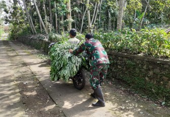 Tolong Menolong Cermin dari Bangsa Indonesia