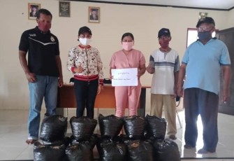 Pemdes Hulung Berikan Bibit Sayur Untuk 185 Kepala Keluarga