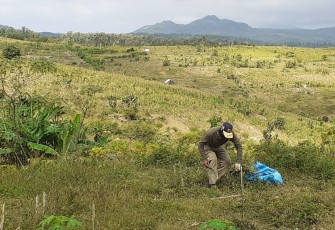 Supriadi Merumput Dahulu Agar Bisa Bantu TNI dalam Persiapan Pembukaan TMMD