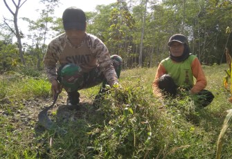 Meski Seorang TNI Koptu Andree Tak Bisa Diremehkan Saat Cari Rumput untuk Warga