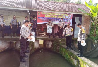 Kapolres Mura AKBP Efrannedy dan Waka Polres Mura Kompol Handoko bersama Kapolsek Tugumulyo Iptu Dadang dan Personil lainnya menebar benih ikan Kamis (9/7).