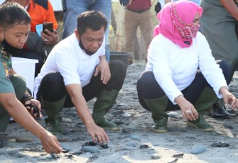 Kapolda Bengkulu Lepas saat Anak Tukik