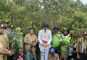 Pemkab Maybrat Lakukan Penanaman Pohon Pada Wilayah Hutan Lindung