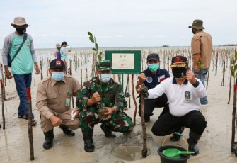 Sekdaprov H. TS. Arif Fadillah mendorong berbagai komunitas untuk terus menjaga kelestarian hutan magrove.