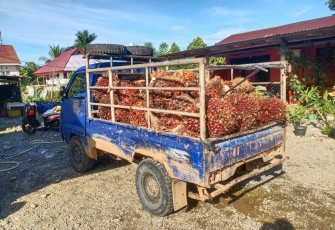 Barang Bukti