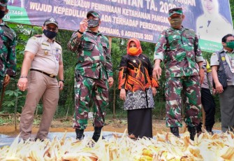 Plt Walikota Tanjung Pinang Rahma Berikan Apresiasi kepada Petani TNI