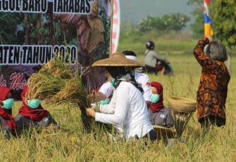 Bupati Purwakarta Anne Ratna Mustika. (Foto/KlikWarta)