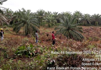 Lahan PT Agro Muko BTE