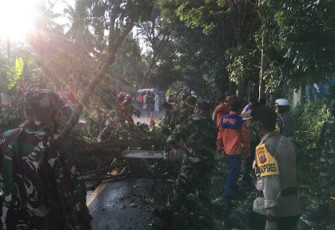 Personil Kodim 1310/Bitung Tangani Bencana Alam di Desa Kaasar