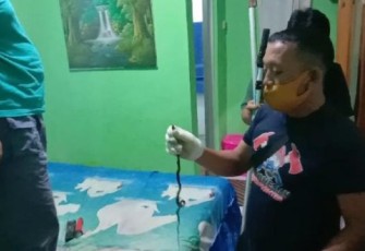 Petugas Rescue Dinas Pemadam Kebakaran dan Penyelamatan Kota Bengkulu