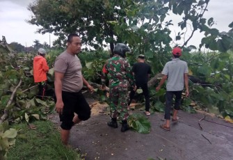 Anggota Babinsa Koramil 15/Gemolong Kodim 0725 Sragen bersama dengan anggota Polsek Sumberlawang serta masyarakat Desa Mojopuro, SAR MTA Gemolong dan Relawan Rescue Sumberlawang melakukan kerja bakti pemotongan pohon dan pembersihan jalan, Selasa (26/1).