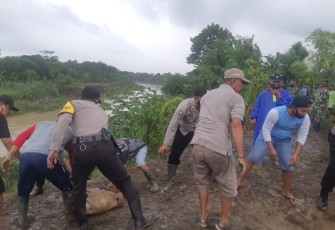 Forkompimcam Cepiring laksanakan kerja bakti memasang pancang dan pagar dari Bambu kemudian diisi dengan tanah yg dimasukkan kedalam kantong karung. Minggu, 7/2/2021.