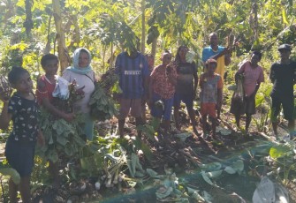 Susana Ibiah Wanita Tangguh Pejuang Pangan lokal di Kabupaten Maybrat
