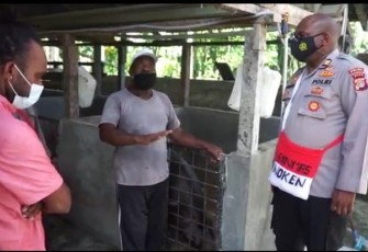 Tim Divisi Humas Tinjau Peternakan Binaan Binmas Noken Polri di Mimika, Berawal 2 Pasang, Berkembang Hingga 42 Pasang