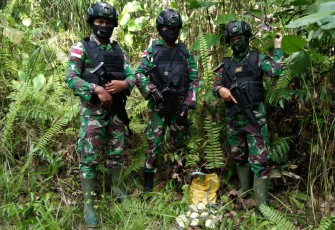 Satgas Pamtas Yonif 407/Padmakusuma untuk kesekian kalinya berhasil menggagalkan penyelundupan sepuluh botol minuman keras (Miras) merk Lemon Gin di jalan tikus perbatasan Indonesia-Malaysia sektor Pos Merakai Panjang, Kecamatan Puring Kencana, Kabupaten Kapuas Hulu, Kalimantan Barat.