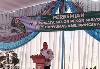 Wabup Pringsewu Resmikan Agrowisata Kebun Melon Pekon Mulyorejo