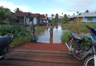 Babinsa 1206-12/Manday Pantau Ketinggian Air Di Kecamatan Kalis