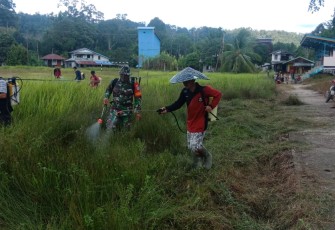 Babinsa Koramil 1206 - 17/Silat Hilir Bersama Warga Gotong Royong Bersihkan Lapangan Sepak Bola