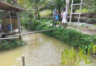 Babinsa Koramil 1016-05/Tumbang Jutuh Ajarkan Cara Budidaya Ikan Air Tawar