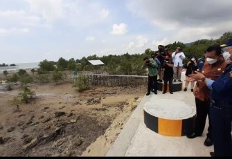 Pelabuhan Peti Kemas Malarko Karimun Bakal Dibangun di Era Jokowi